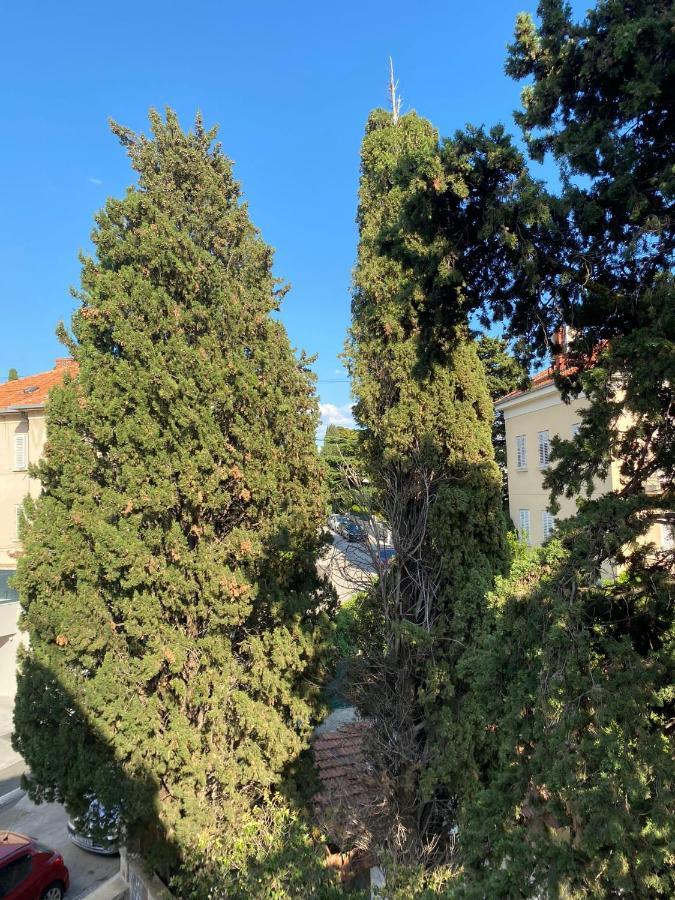 Specious And Newly Decorated At Bacvice Apartamento Split