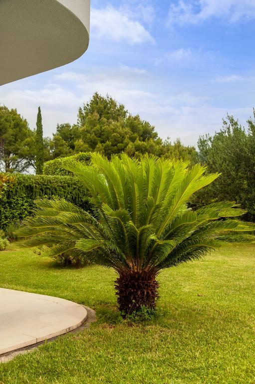 Appartement The Beach & *