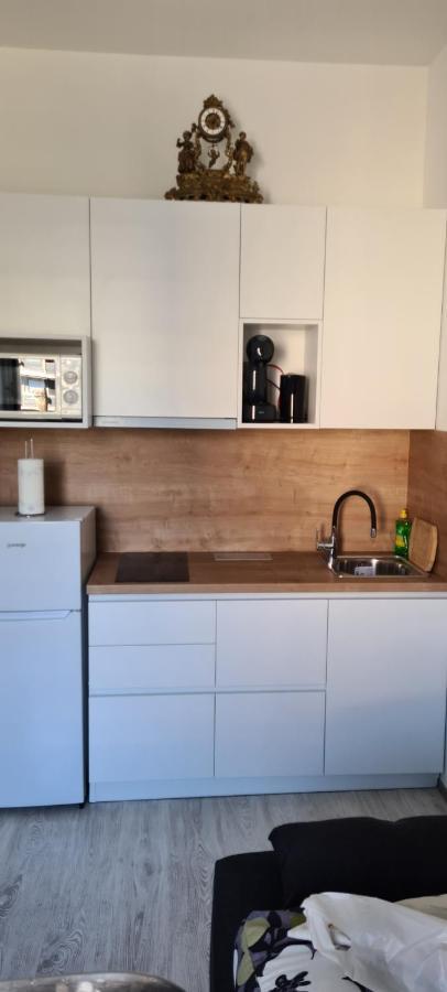 Pavelin Apartment