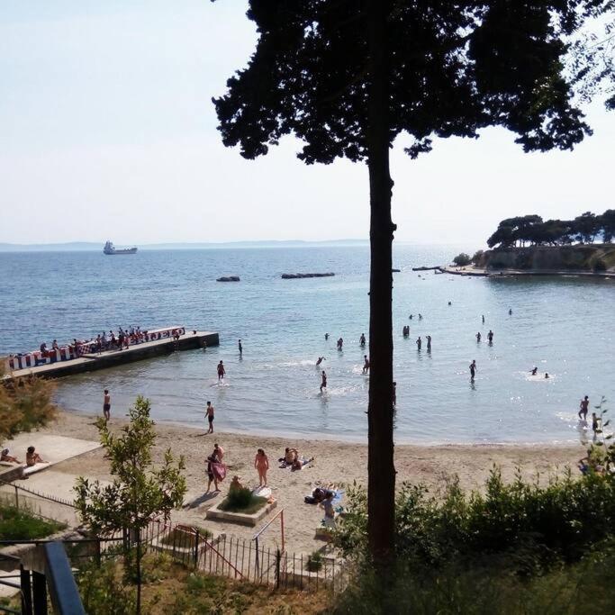 Apartamento Drago 4* - 2 Minutes From The Town Centre *