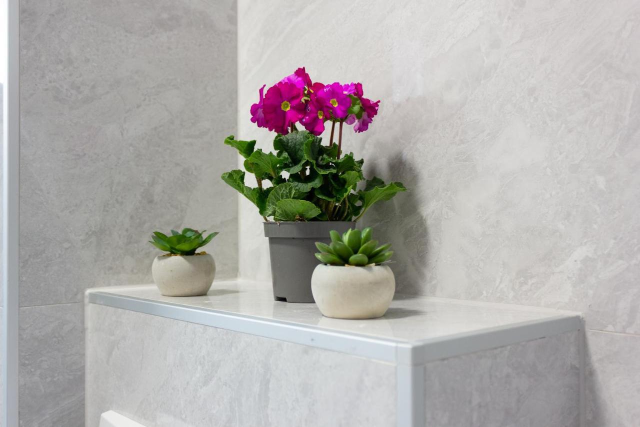 Luxury Petra Appartement Split
