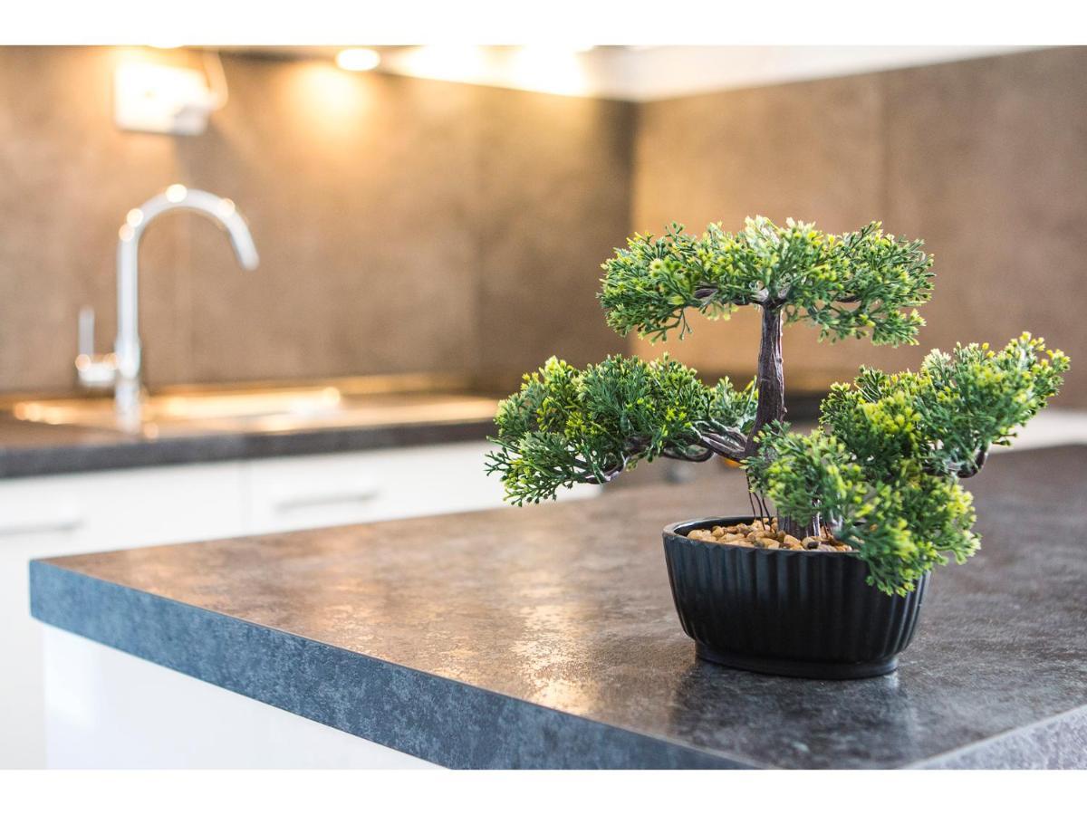 Olive Tree * Split
