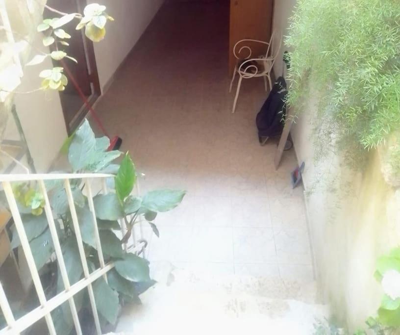 Bozena's Studio Split