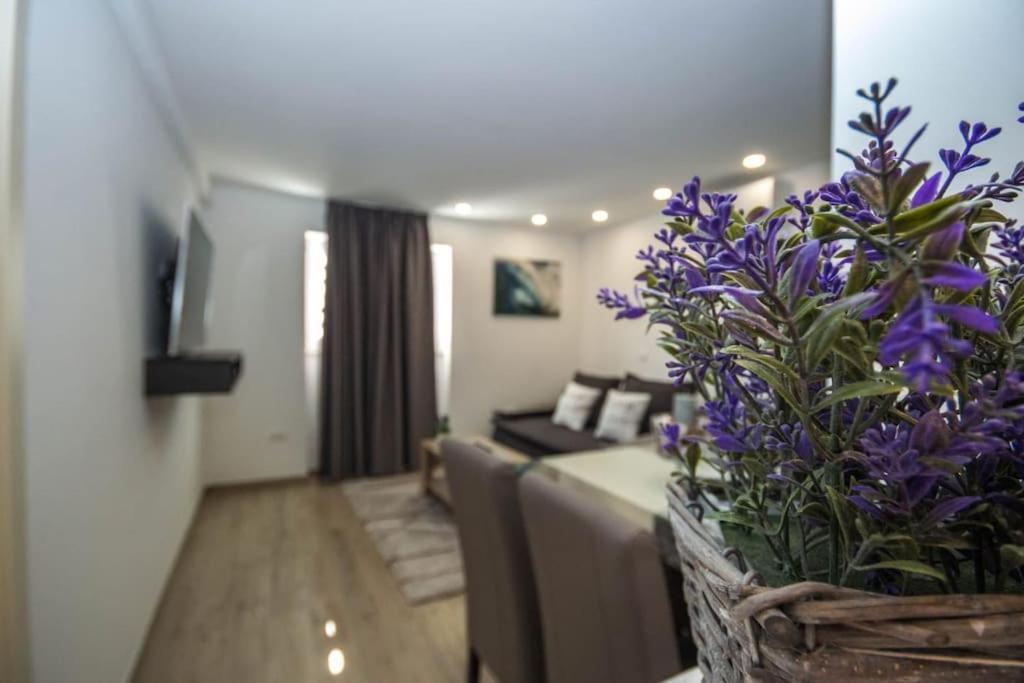 Appartement Wonderful Near Center And Sea