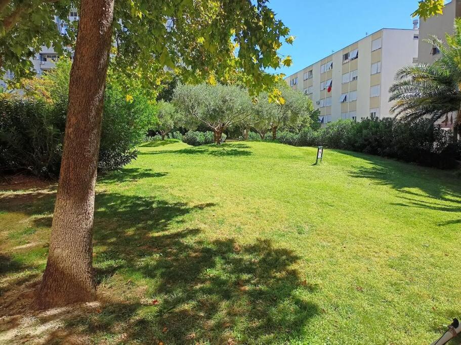 Apartment Eurit Shown In Detail