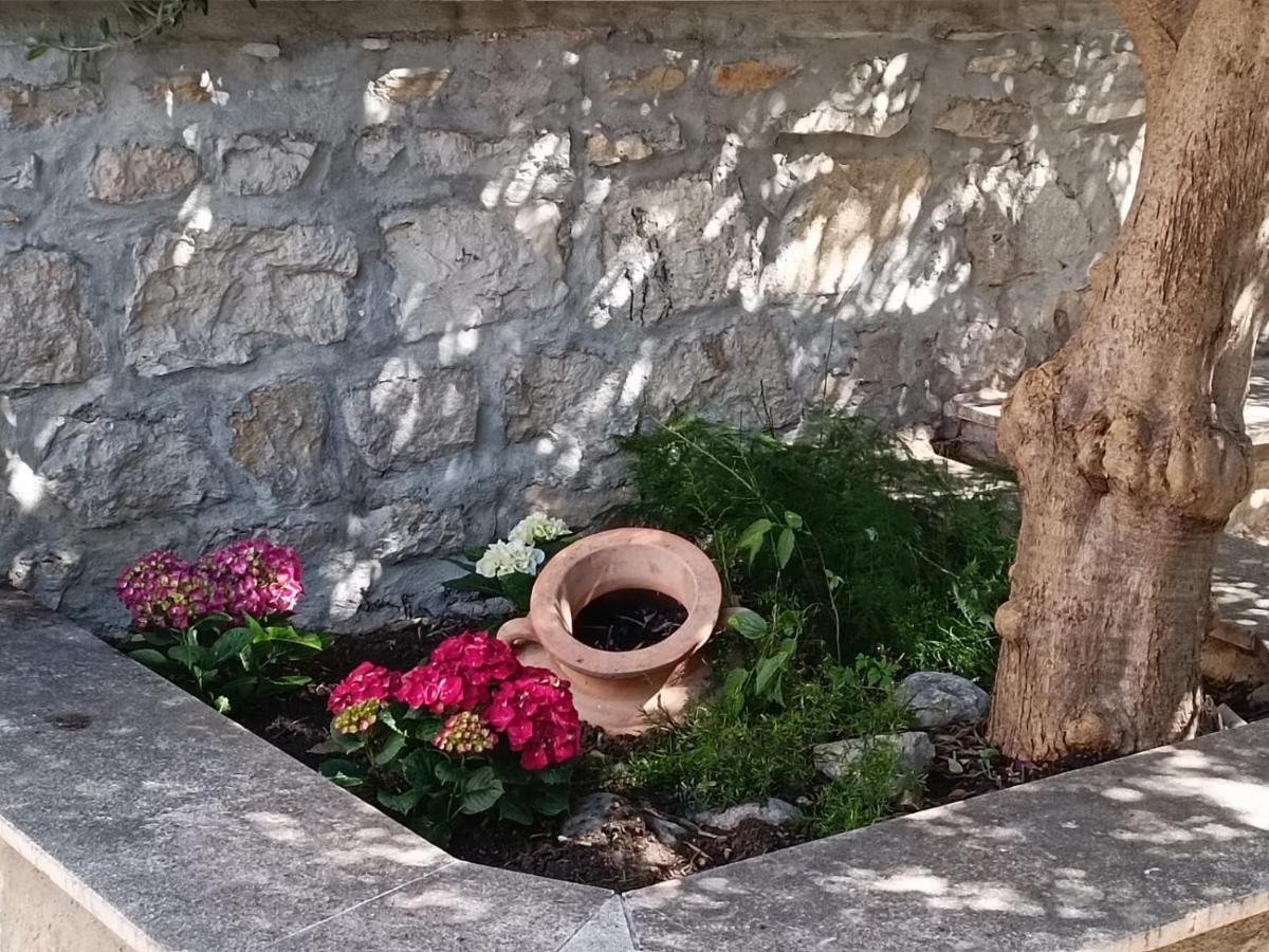 Diocletian Garden Centar Apartment