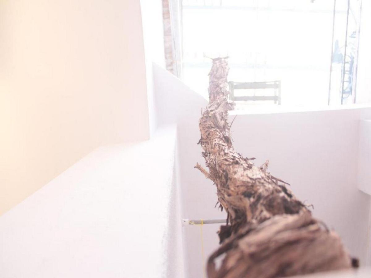 Toniko Appartement *