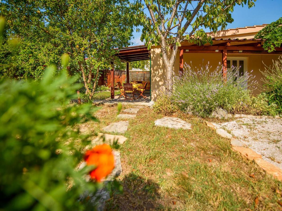 Taja By Interhome Split