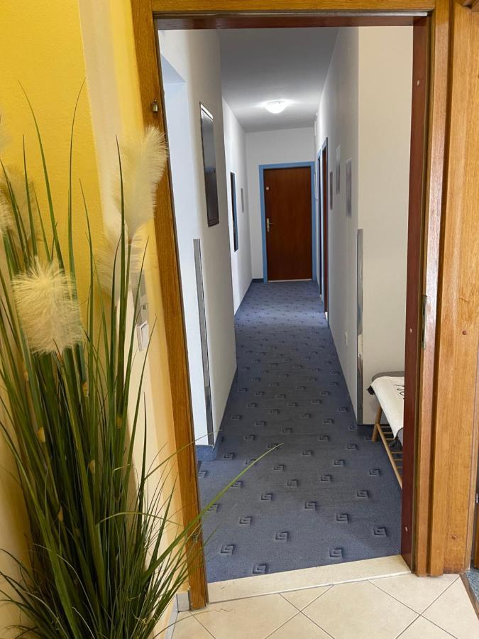Guest house Apartmens And Madunic V
