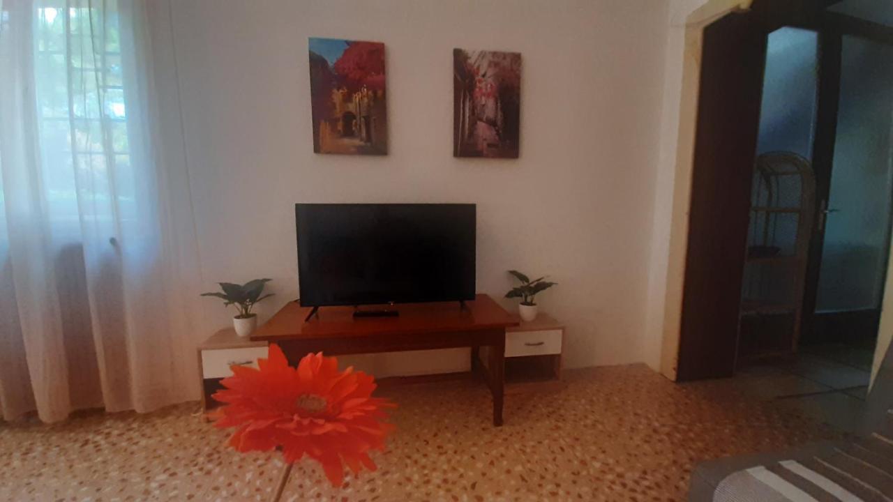 Old Captain's - In A Pine Wood By The Sea And Tennis Courts Appartement *