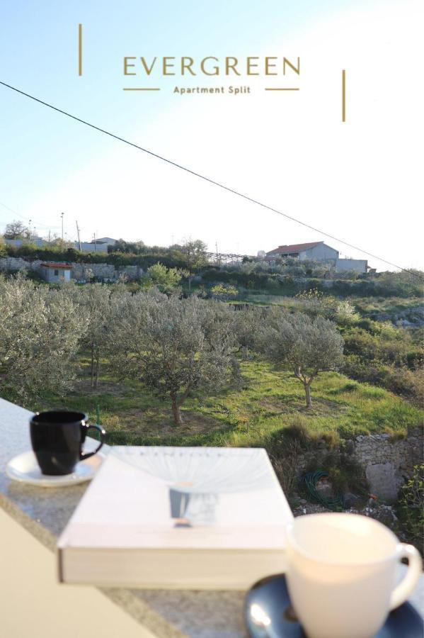 Apartman Evergreen