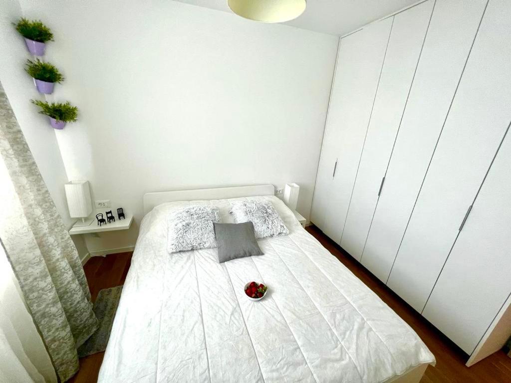 Luxury Cesarica Apartment