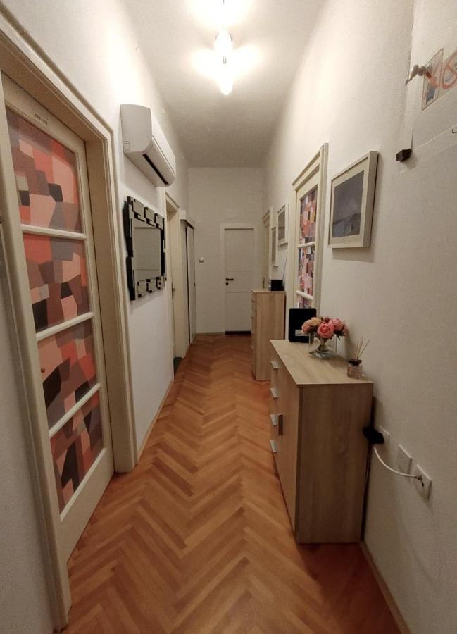 Orchidea In The Centre Apartment