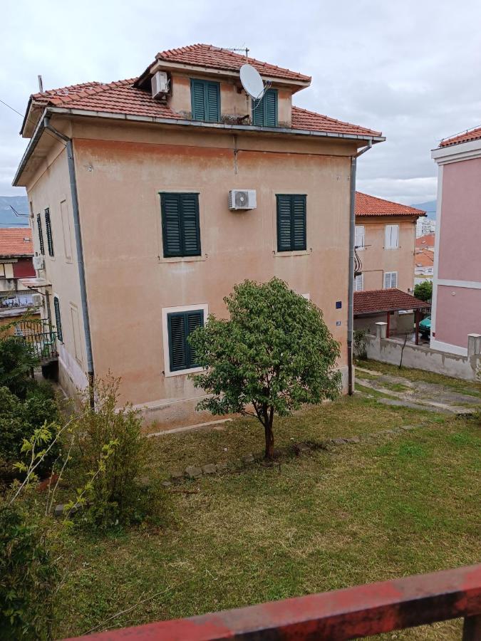 Marjan Nest Split