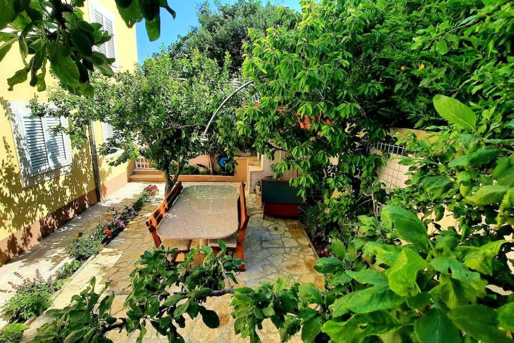 Sun With Sea View And Shared Pool Apartment Split