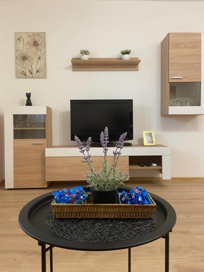 Ana Apartment *