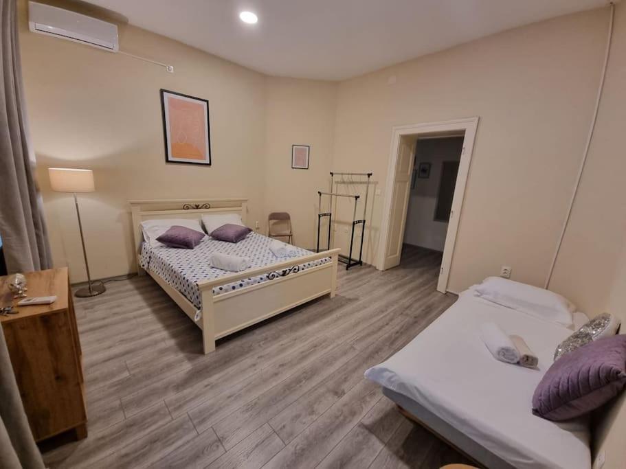 Dalmatian In The Center Apartamento