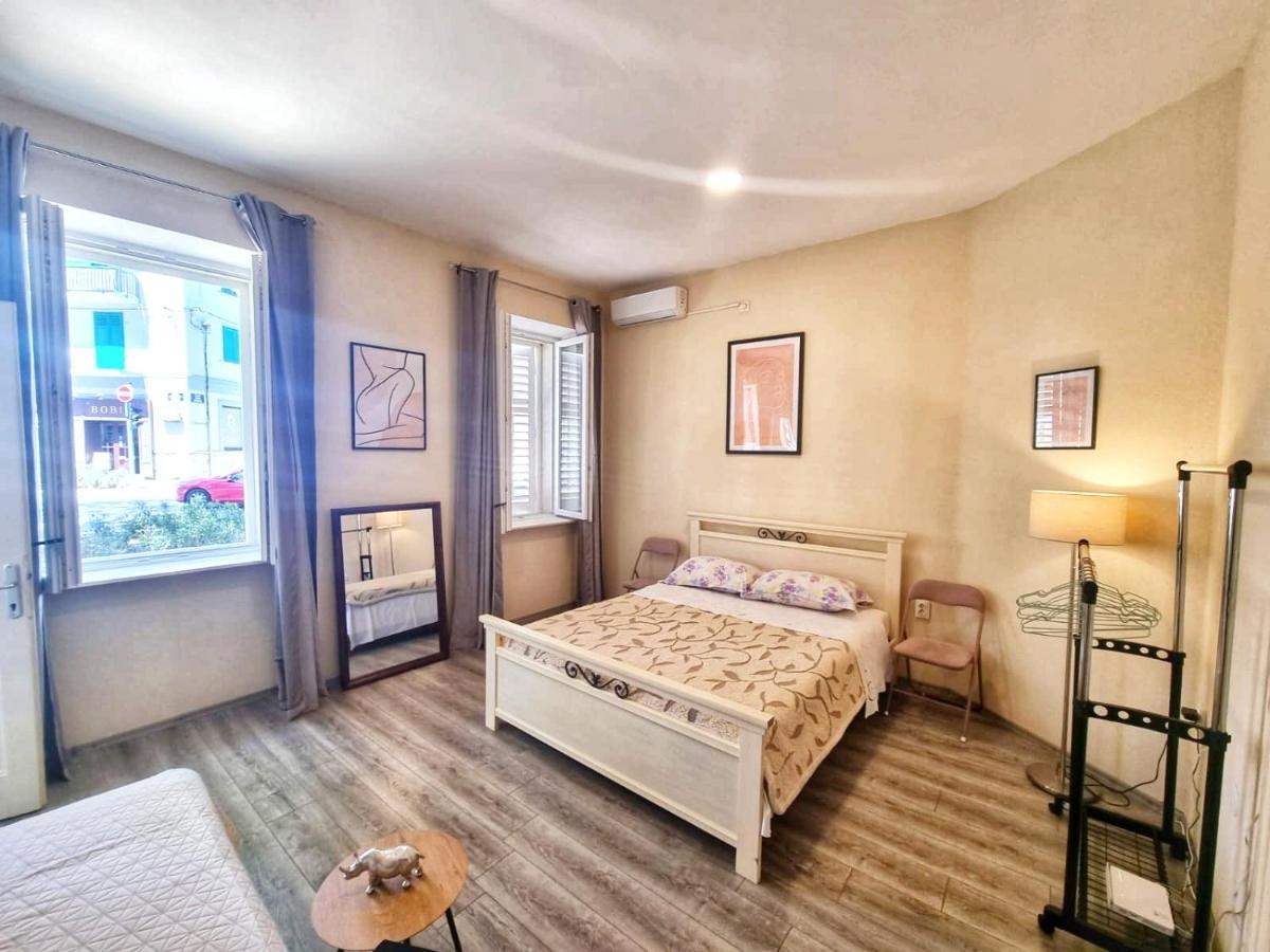 Dalmatian In The Center Apartamento