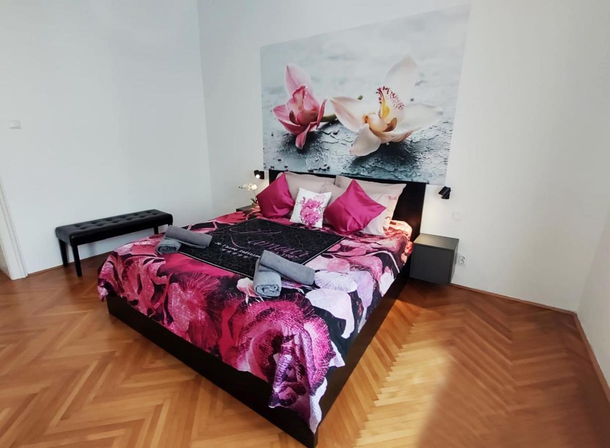Orchidea In The Centre Apartment Split