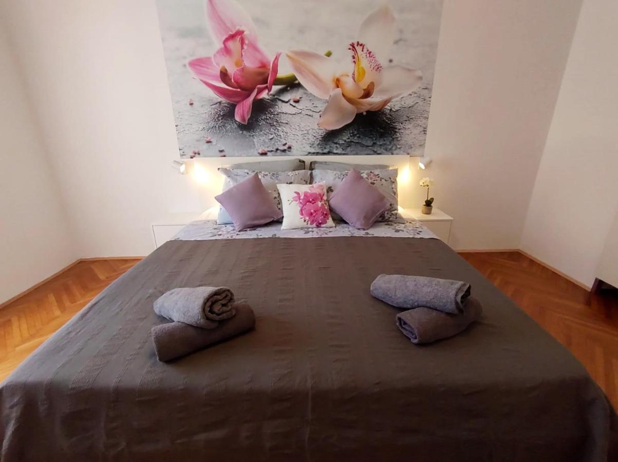 Orchidea In The Centre Apartment *