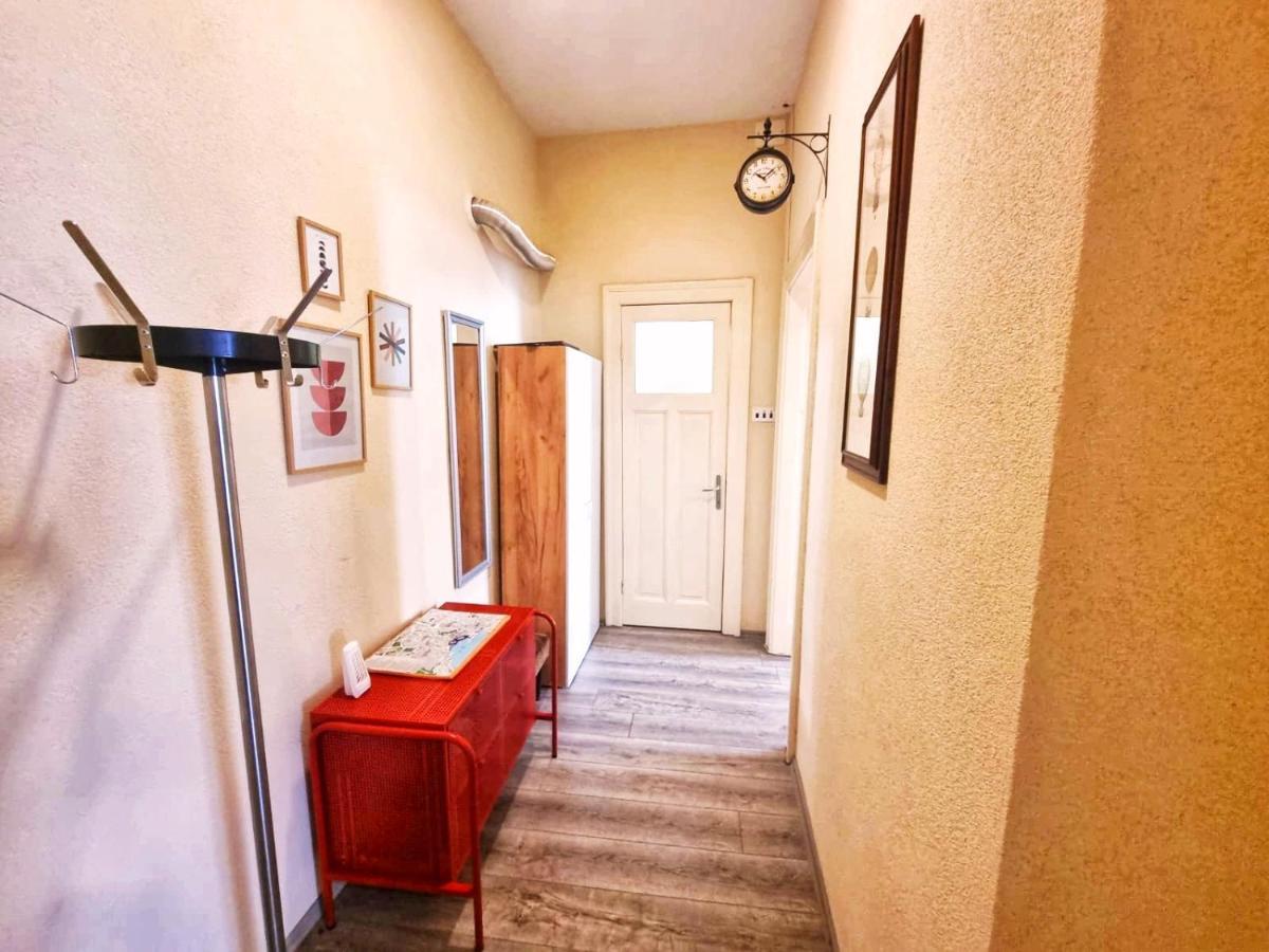 Dalmatian In The Center Apartment Split