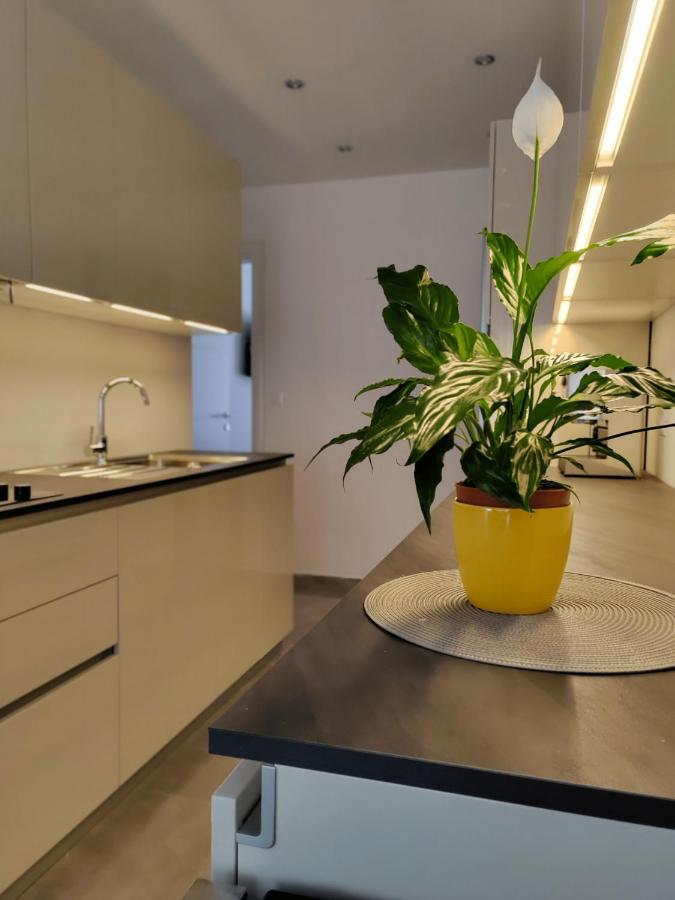 Petar Apartman
