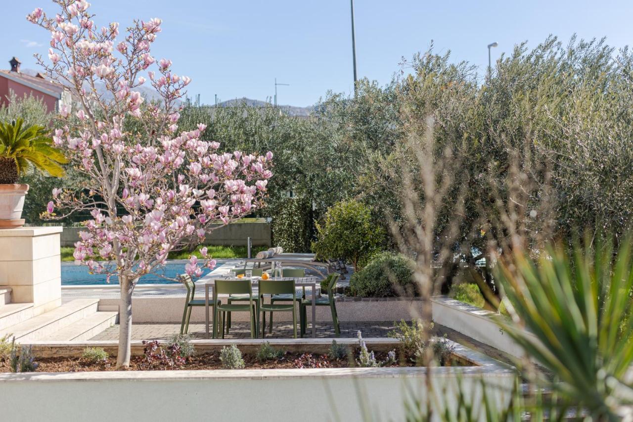 The Olive Poolhouse Split