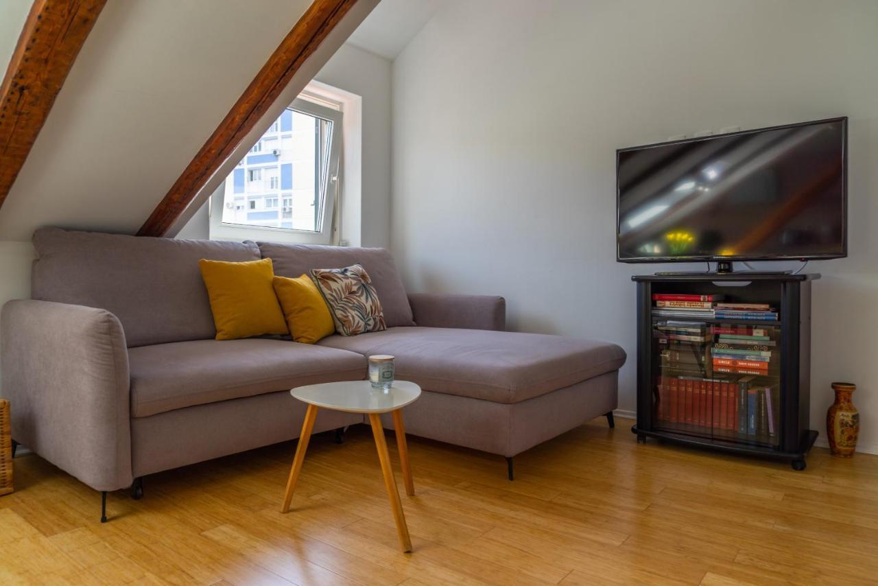 Apartment Cool Attic W Gallery In The Heart Of