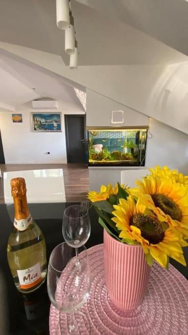 Penthouse Bacvice Apartamento