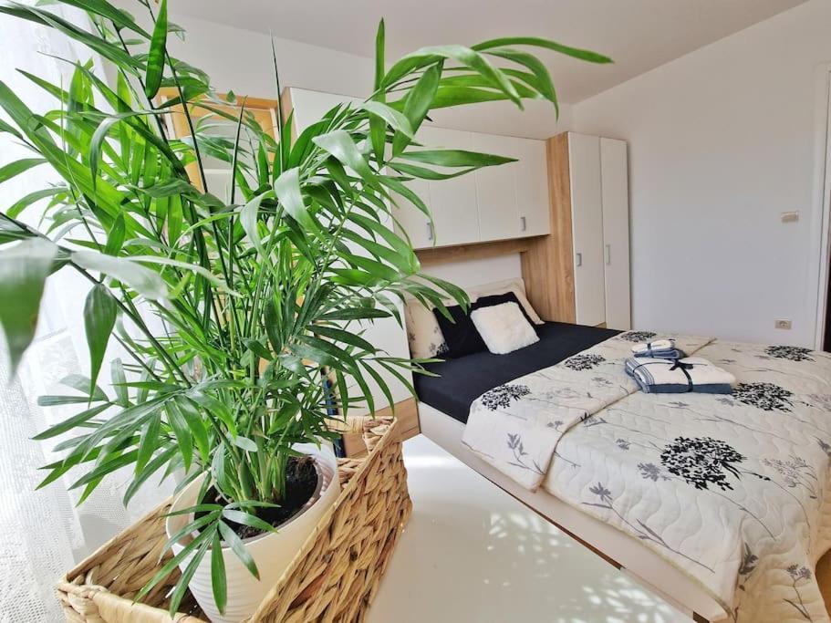 Kman Appartement *