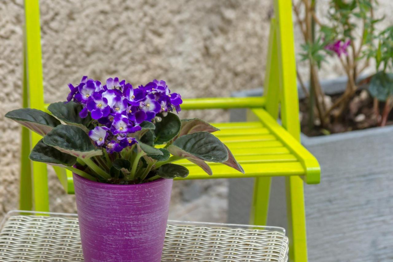Bernard Old Town Apartment Split
