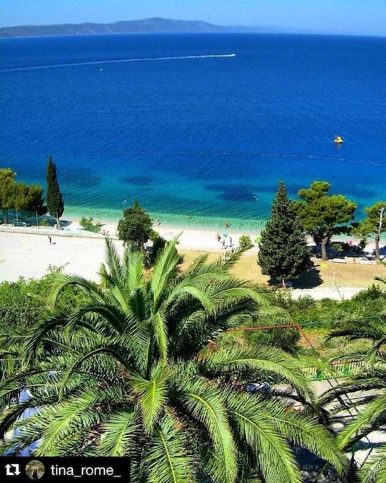 Evala * Split