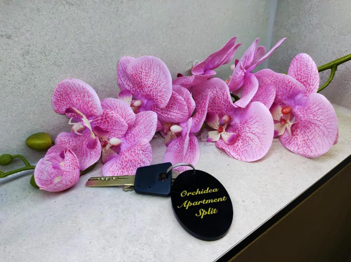 Orchidea In The Centre *
