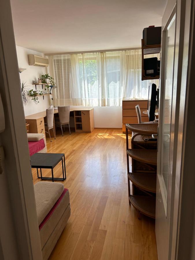 Apartment Sonya *