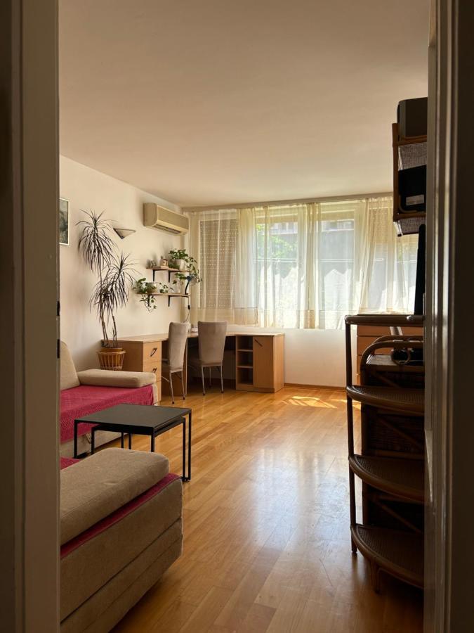 Sonya Apartment *
