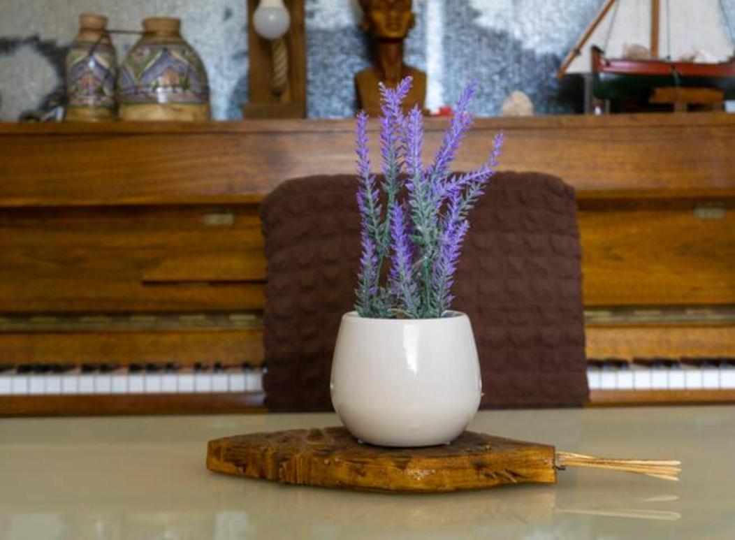 Lion Guest house