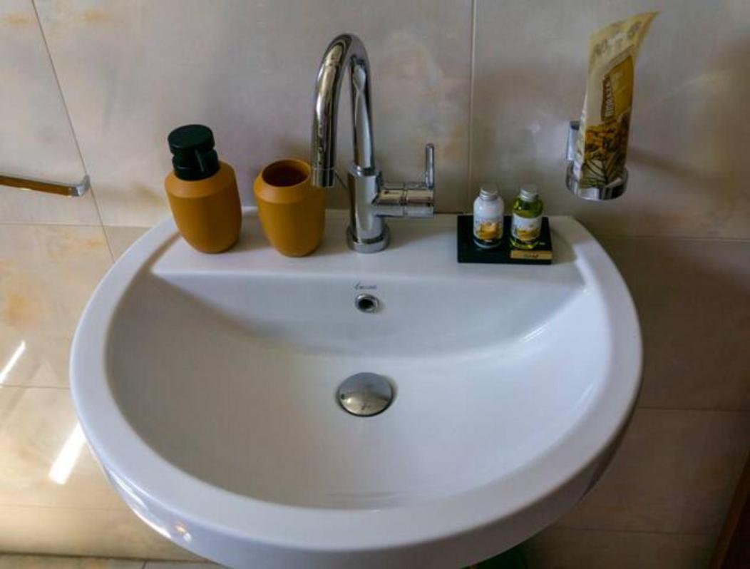 Lion Guest house