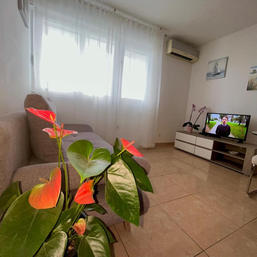 Appartement Olive *