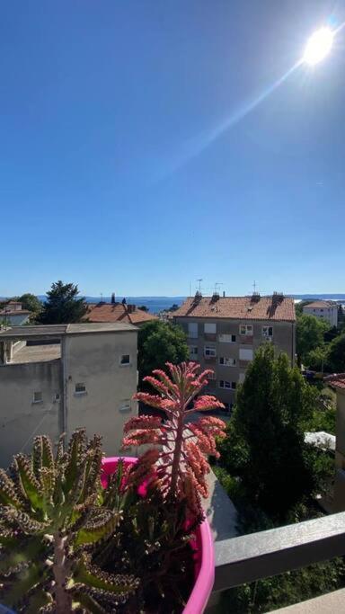 Penthouse Bacvice Apartamento
