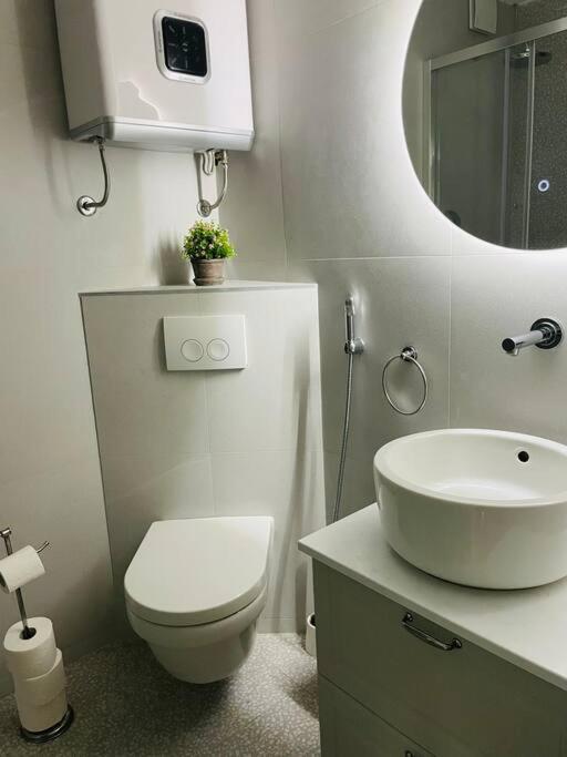 Dita Apartamento