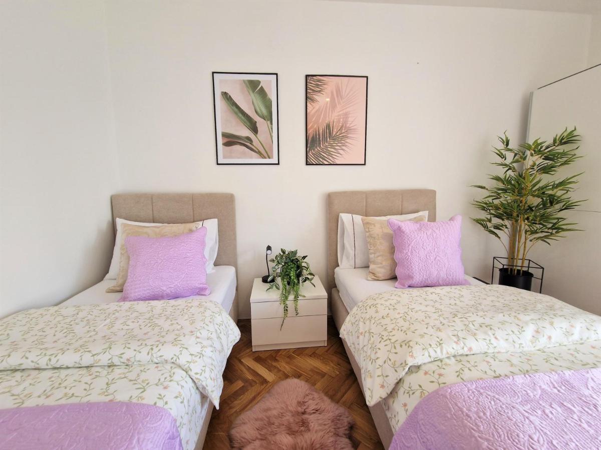 Luminous Apartment