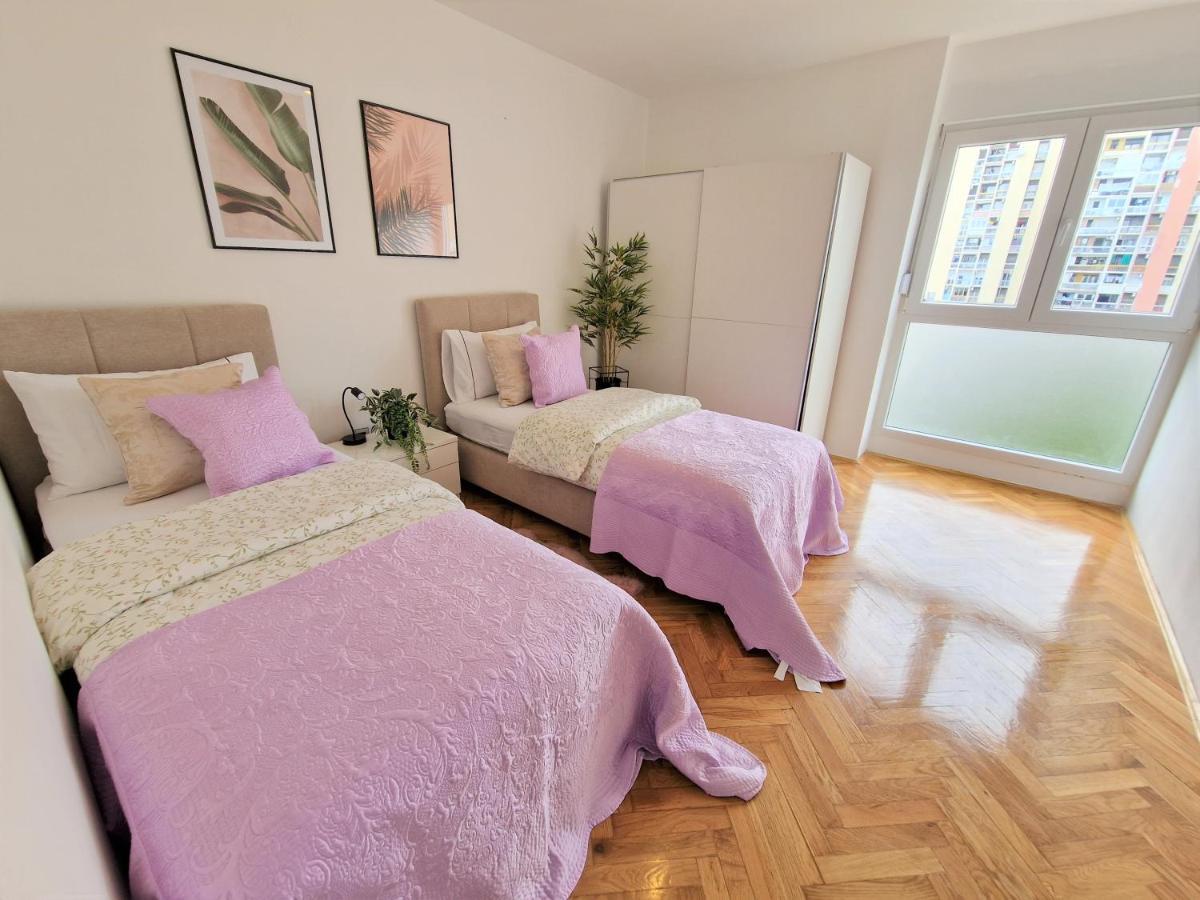 Apartment Luminous