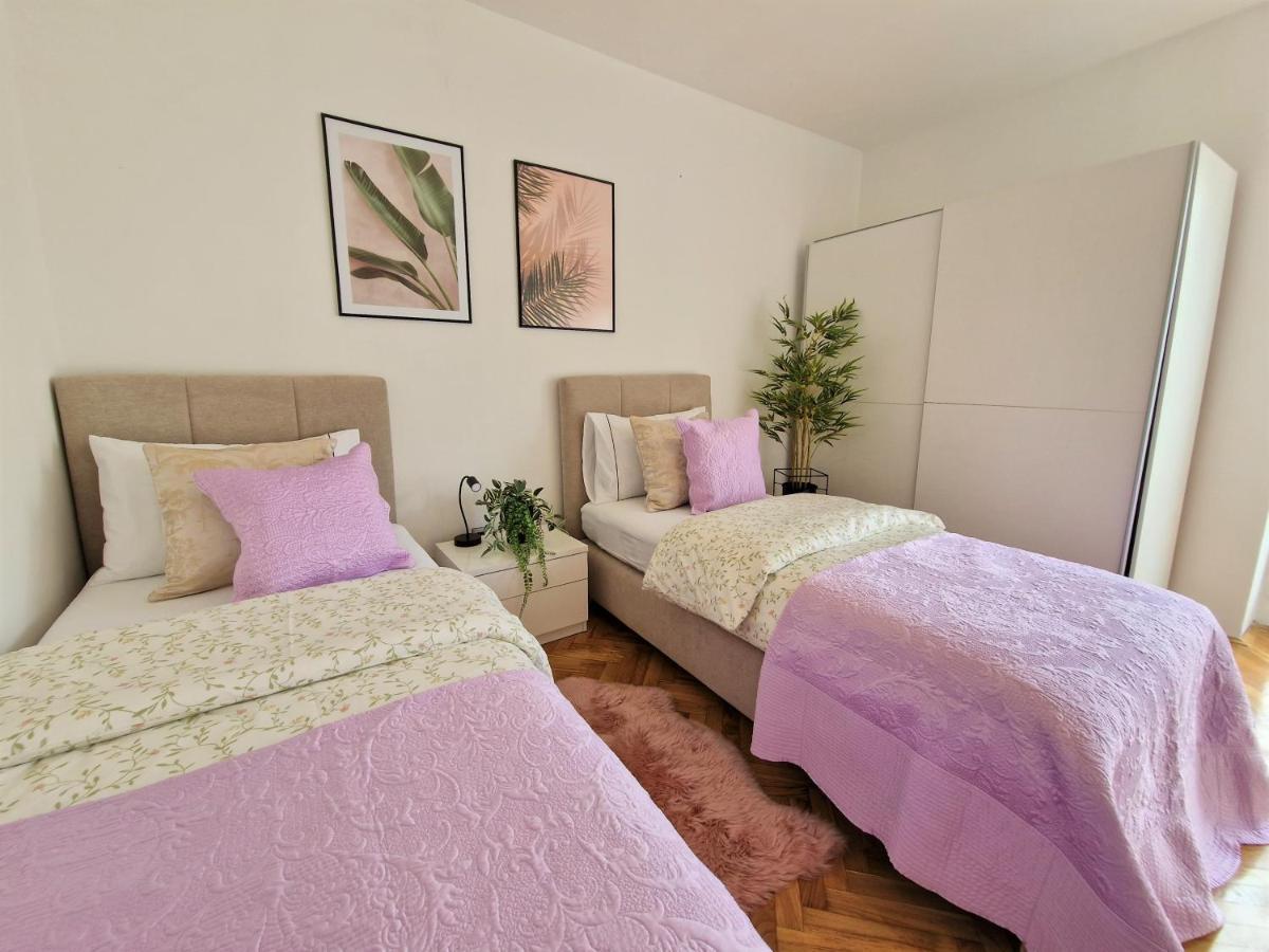 Apartment Luminous
