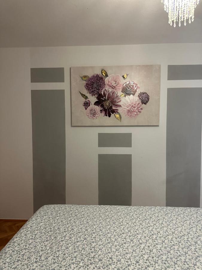 Apartman Vesna *