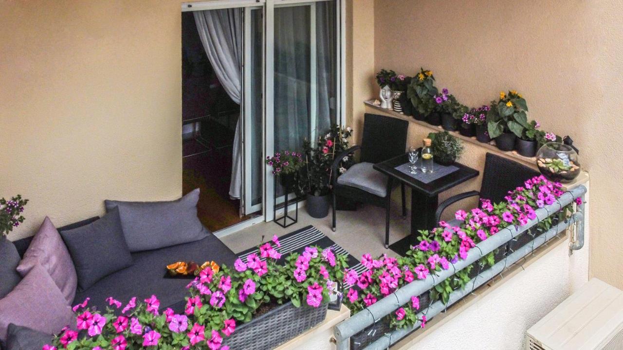 Apartment Summer Dreams