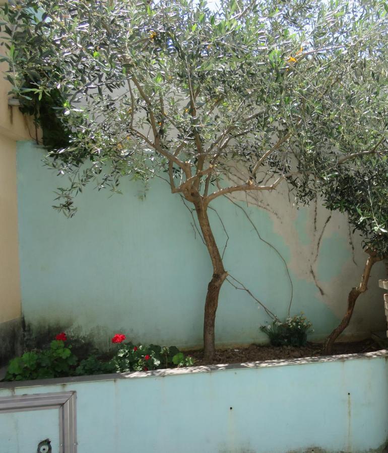 1-2 Apartamento Split