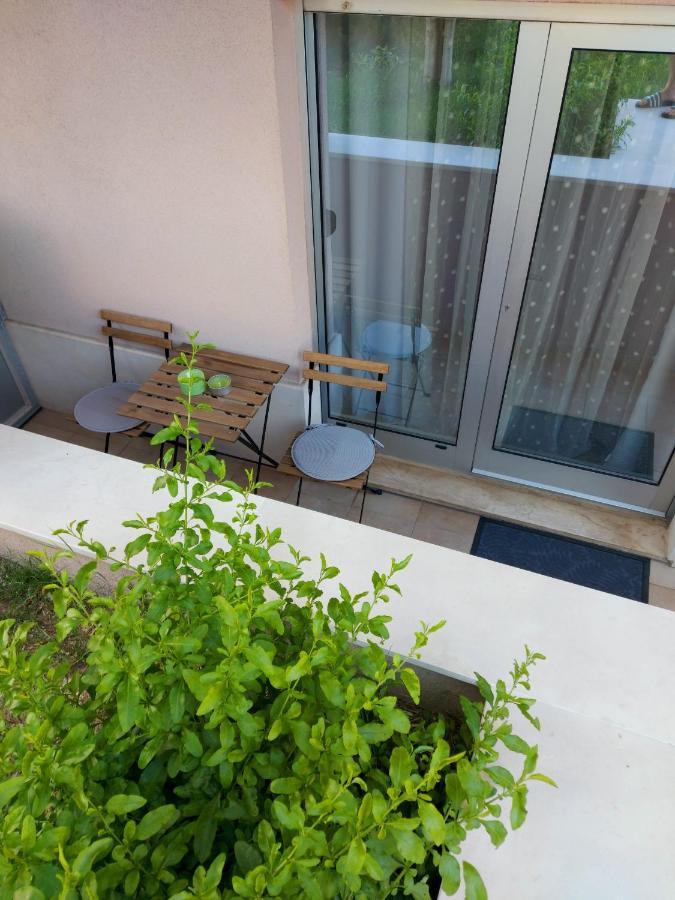 Appartement Zenta With Free Private Parking *