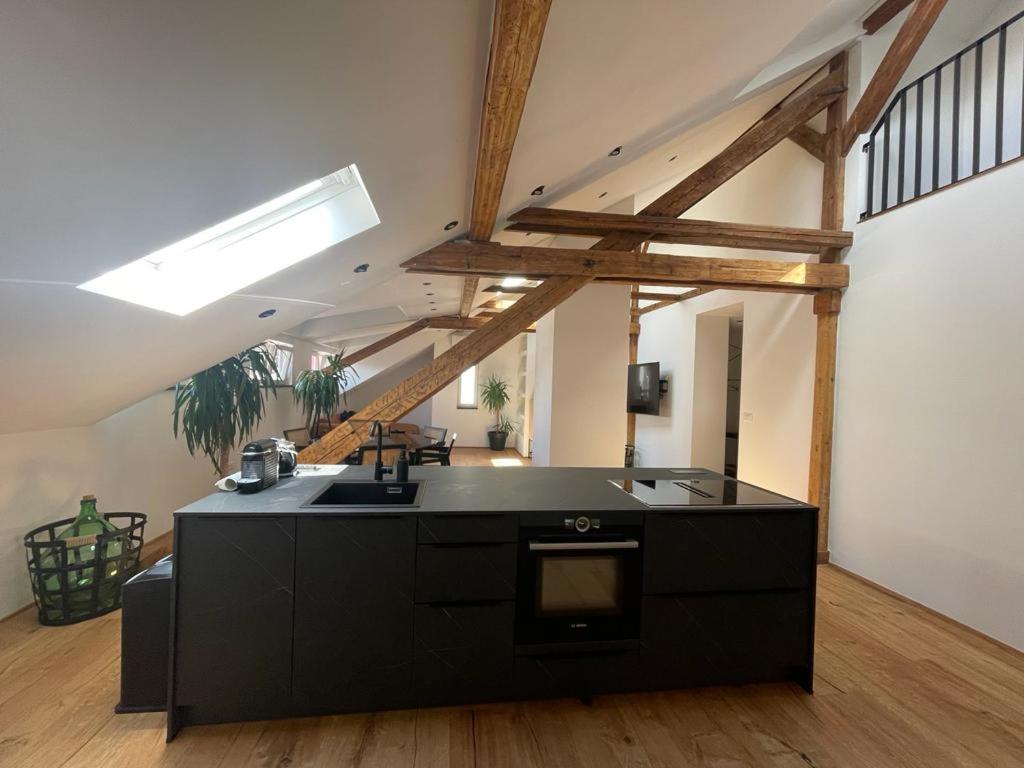 Apartment Rooftop Loft