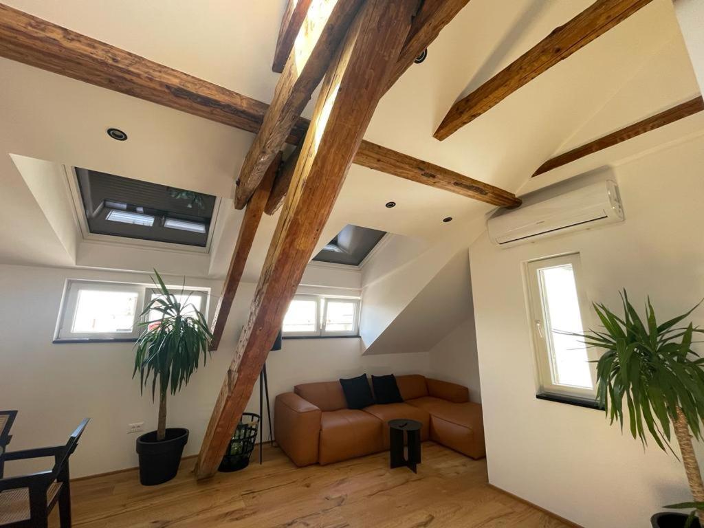 Apartment Rooftop Loft