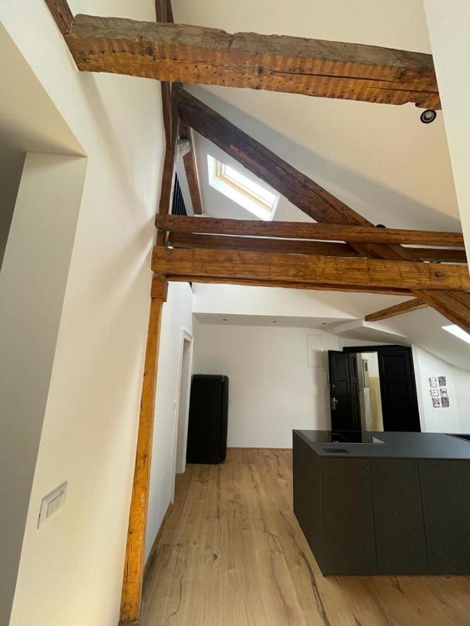 Apartment Rooftop Loft